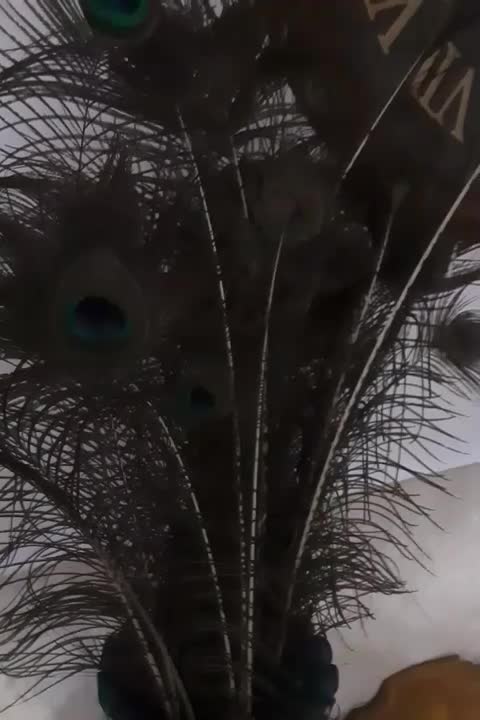 بازاریاب حقوق ثابت و پو سانت فروش|استخدام بازاریابی و فروش|رودسر, |دیوار