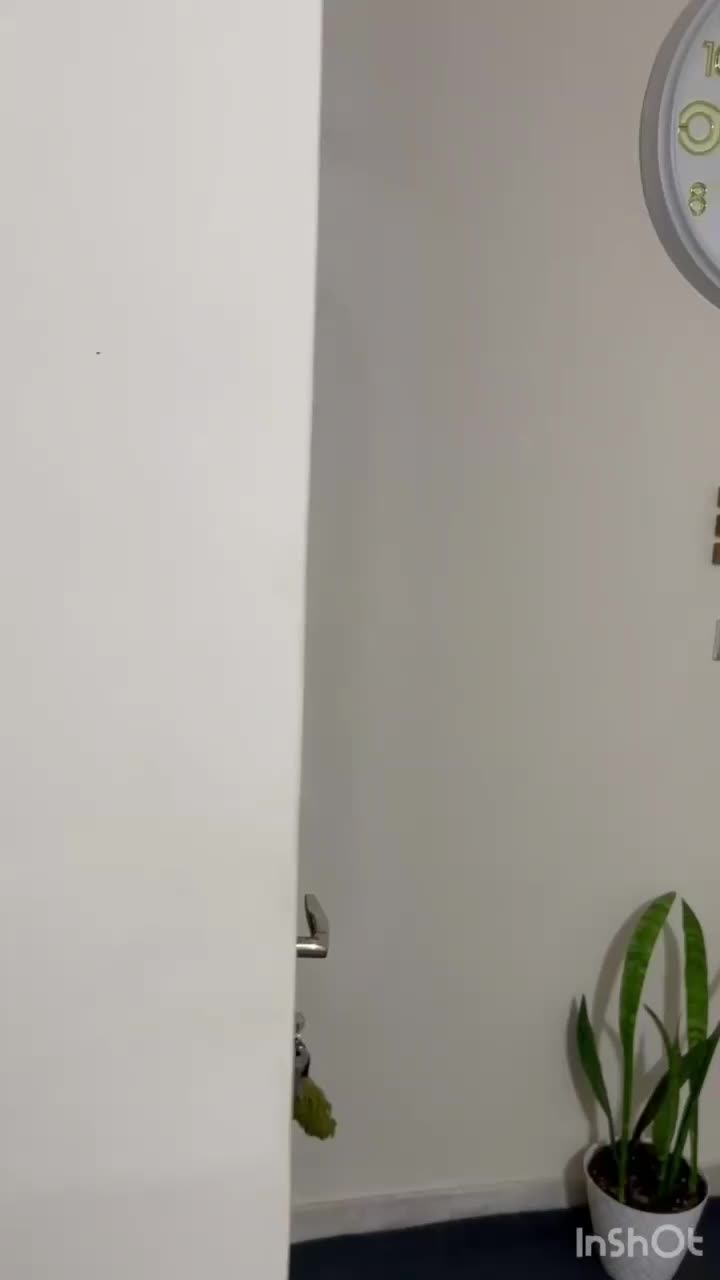 واحد آپارتمانی تک خواب سند تک برگ شهرک وحدت|فروش آپارتمان|اشتهارد, |دیوار