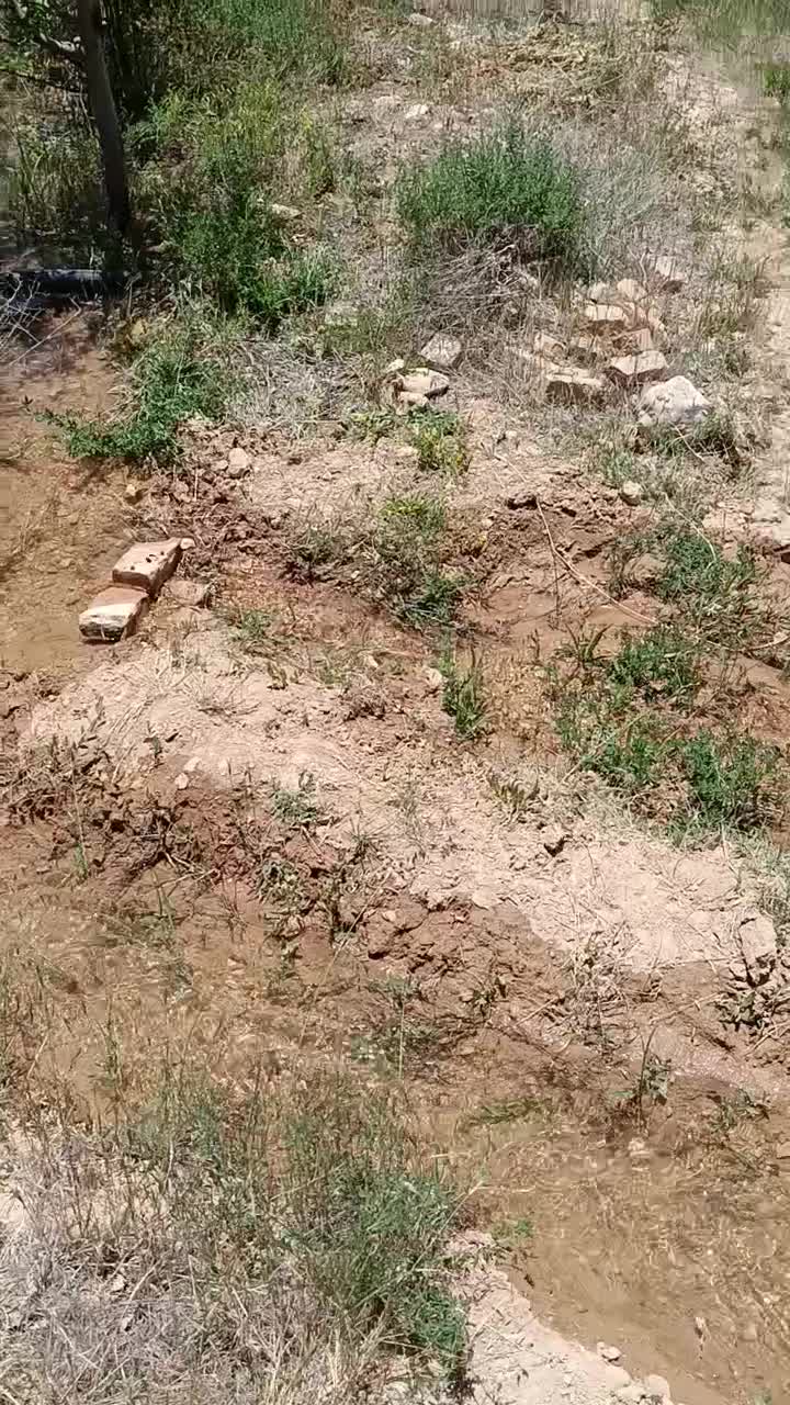 باغ سپیدان معاوضه با دنا پلاس سورن پلاس تارا|فروش زمین و ملک کلنگی|سپیدان, |دیوار