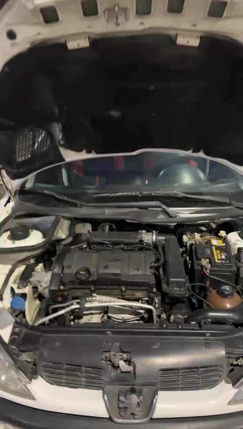 پژو۲۰۶SDV8|خودرو سواری و وانت|تبریز, |دیوار