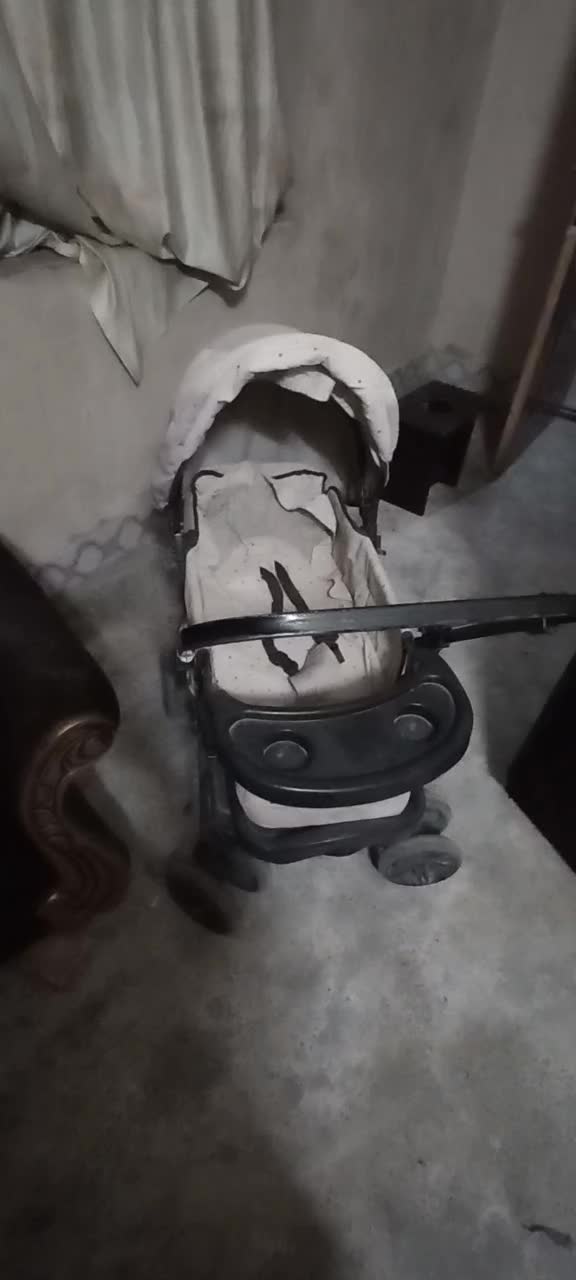 کالسکه|کالسکه و لوازم جانبی|تربت جام, معدآباد|دیوار