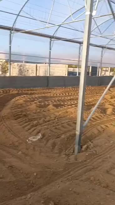 فروش یک واحد گلخانه نیمه صنعتی|فروش زمین و ملک کلنگی|دورود, |دیوار