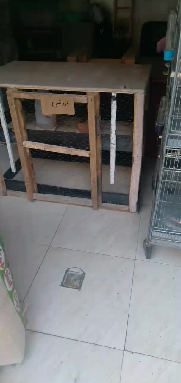 َقفس جفت کنی بزرگ ۲ طبقه|لوازم جانبی حیوانات|باغستان, |دیوار