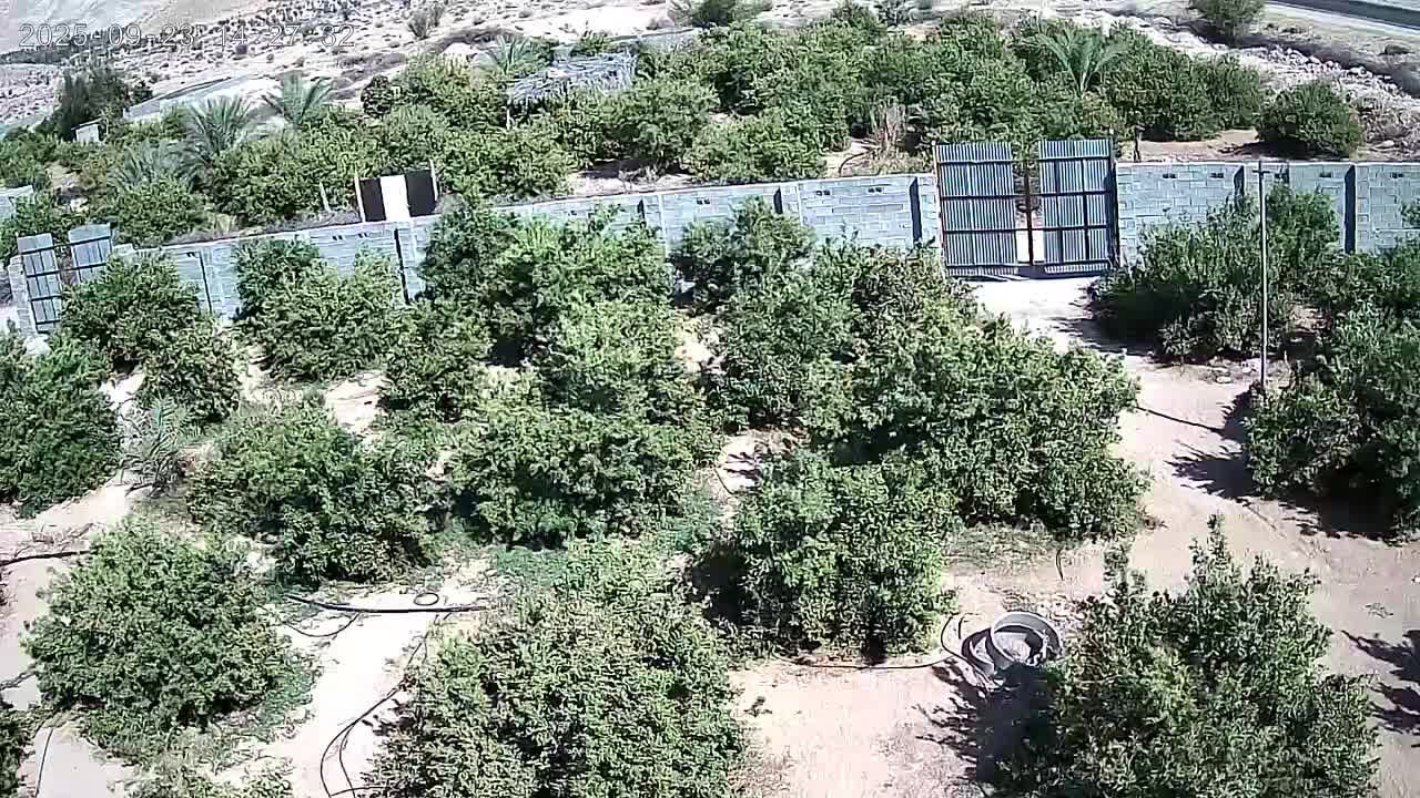 دوربین ،چشم همیشه بیدار|دوربین مداربسته|جهرم, |دیوار