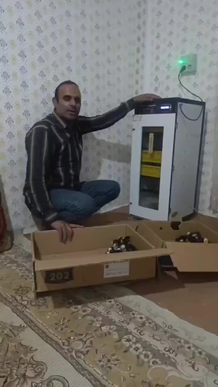 دستگاه جوجه کشی هدایت|لوازم جانبی حیوانات|سنندج, |دیوار