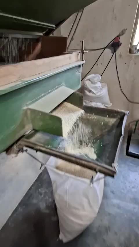 برنج هاشمی الک شده شالیزارهای گیلان|خوردنی و آشامیدنی|شهر بابک, |دیوار