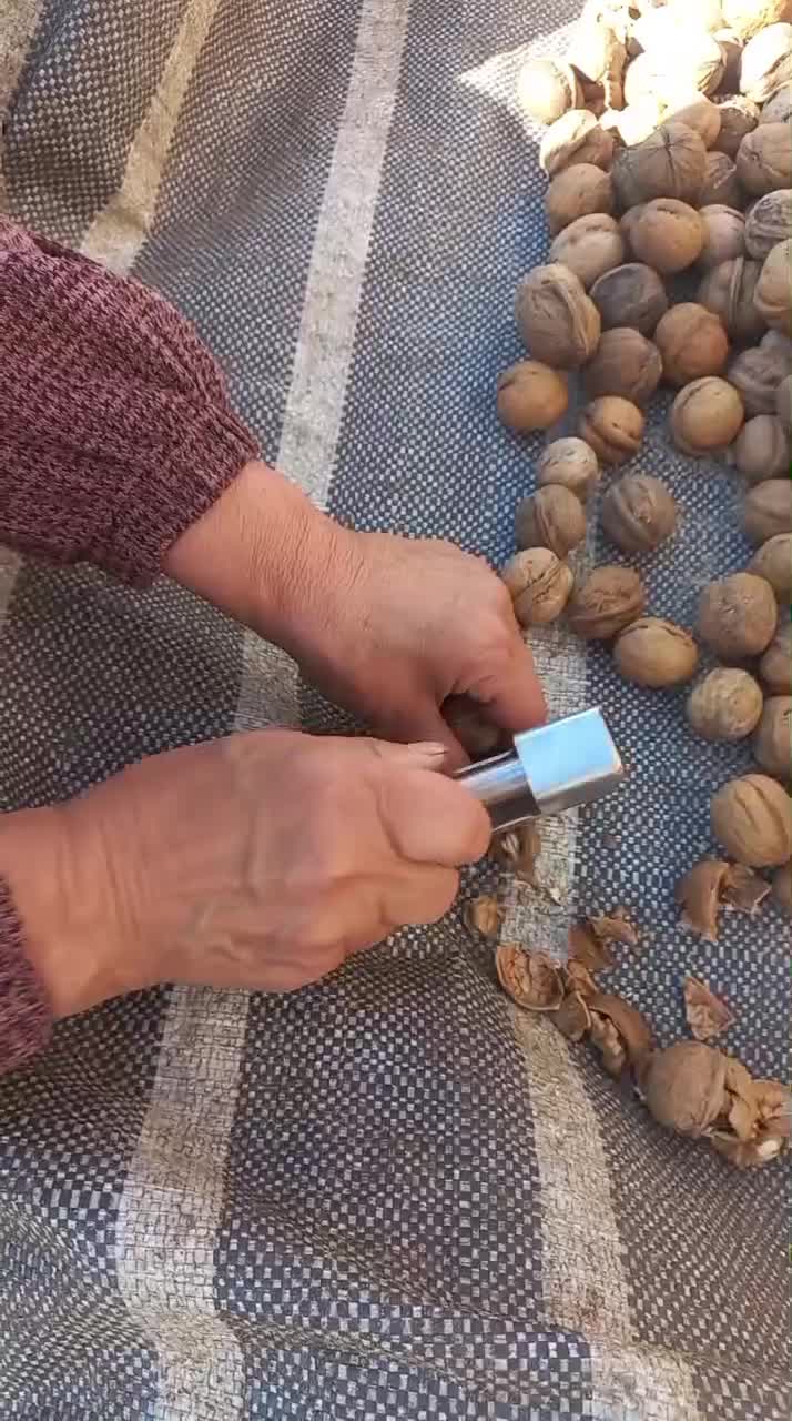 رب انار محلی خوشمزه و لذید و محصولات روستایی|خوردنی و آشامیدنی|نوبران, |دیوار