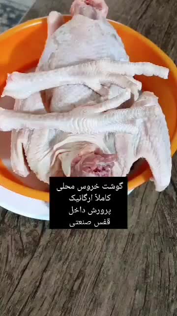 گوشت خروس محلی یا بومی|حیوانات مزرعه|اصفهان, دستگرده|دیوار