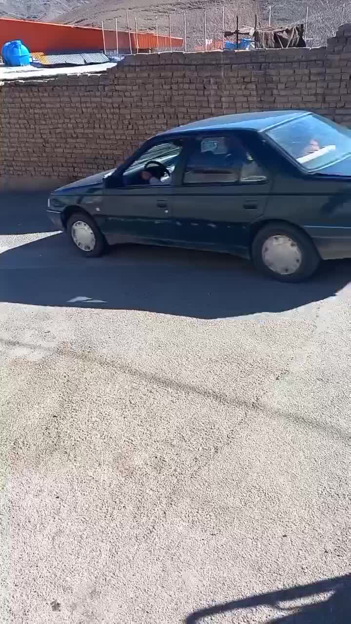 اسب مادیون کرد|حیوانات مزرعه|قم, پردیسان|دیوار