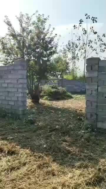زمین مسکونی درکومله|فروش زمین و ملک کلنگی|کومله, |دیوار