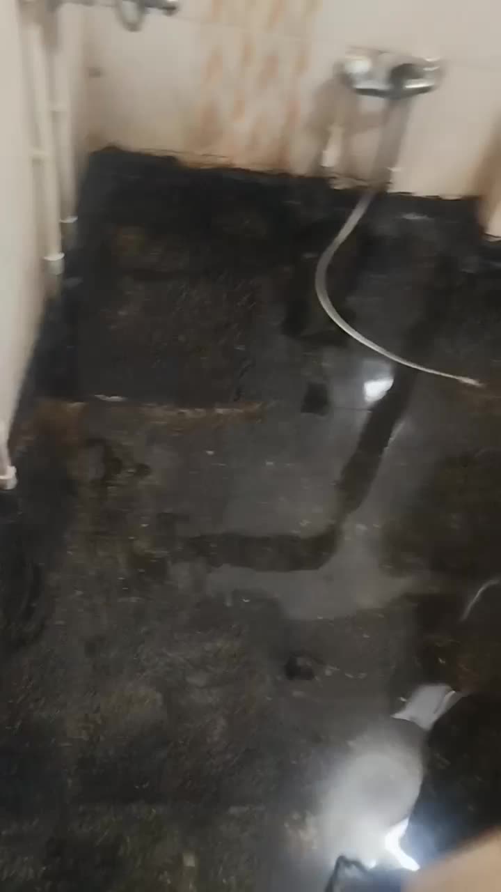 ایزوگام شرق نصب و فروش لکه گیری حتی یک متر باشه|خدمات پیشه و مهارت|مشهد, ولیعصر (شهرک غرب)|دیوار