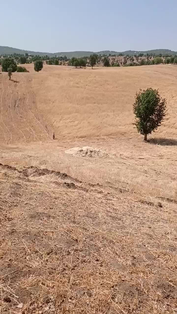 زمین کشاورزی دیم|فروش دفتر صنعتی، کشاورزی، تجاری|آرمرده, |دیوار