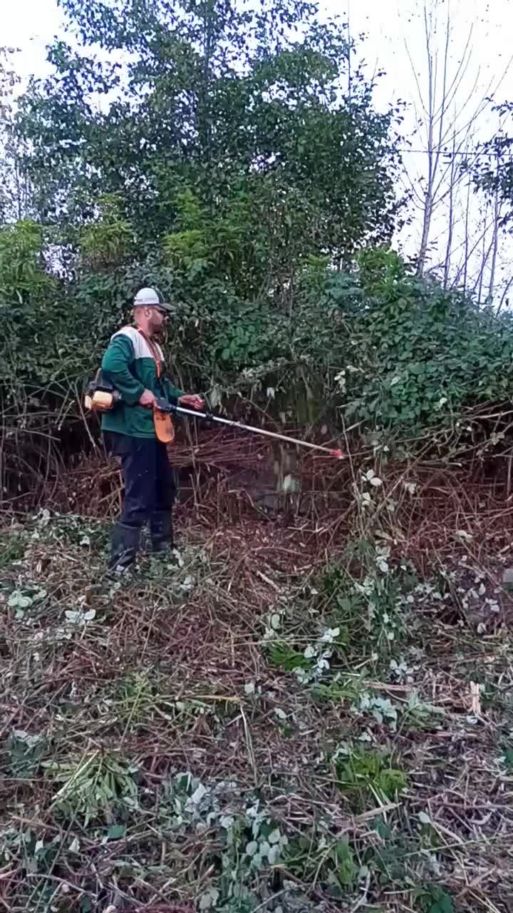 خدمات باغی چمن زنی علف زنی تمیز کردن علف هرز تمشک|خدمات باغبانی و درختکاری|رشت, یخسازی|دیوار