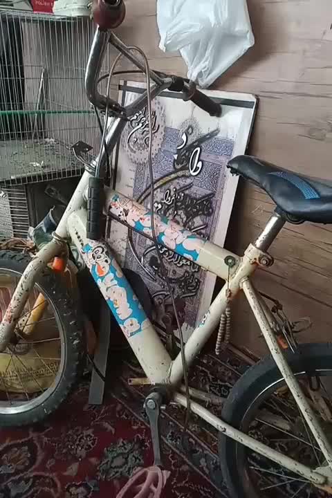 یک دستگاه دوچرخه|دوچرخه، اسکیت، اسکوتر|مشهد, عسگریه|دیوار