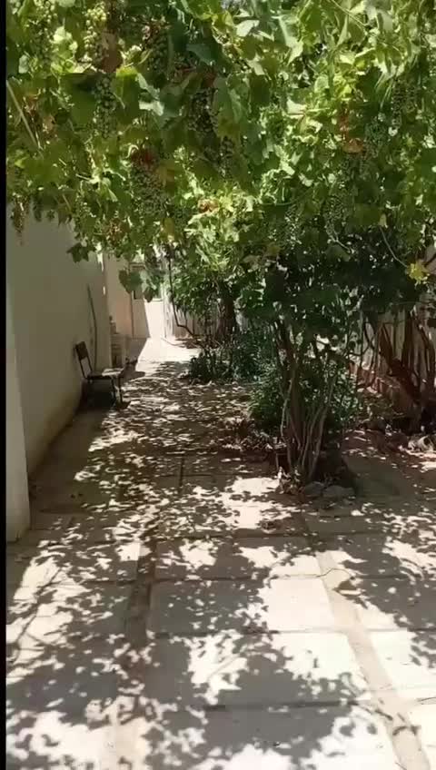 ۲۵۰متر ویلایی۳خواب روبروی کوه پارک هفت تیر(تخلیه)|اجارهٔ خانه و ویلا|مشهد, هفت تیر (حافظ)|دیوار