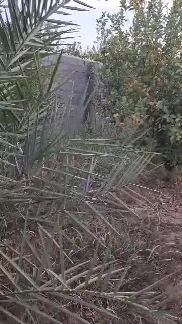 دزفول|فروش زمین و ملک کلنگی|کرخه, |دیوار