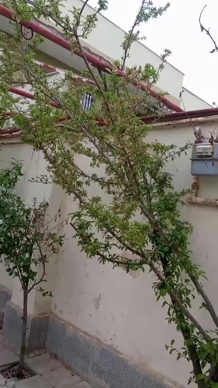 فروش شهرک مهرگان  یک واحد طبقه همکف شمالی عترت 29|فروش آپارتمان|مشهد, شهرک مهرگان|دیوار