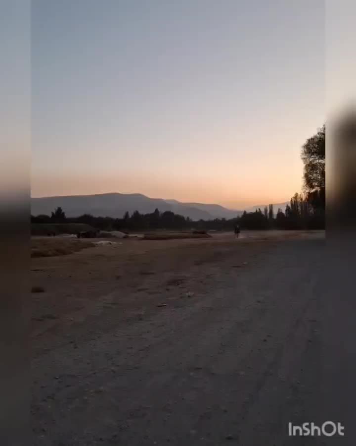 اسب عرب یه سر|اسب و تجهیزات اسبسواری|ارومیه, |دیوار