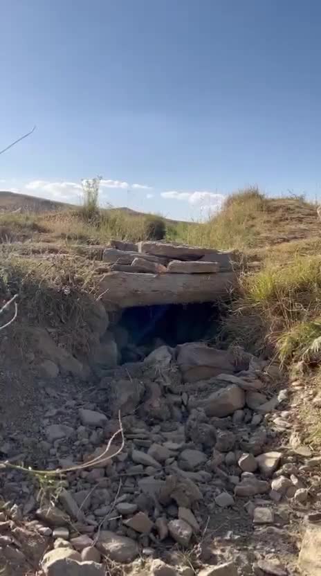 پاژن ۷۶ خاص|خودرو سواری و وانت|تهران, وردآورد|دیوار