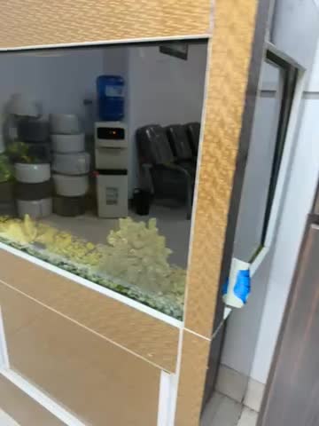 آکواریوم با شیشه ۱۰ میل|ماهی|ارومیه, |دیوار