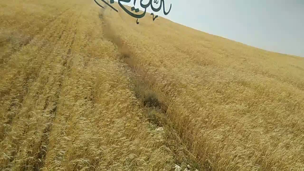 با سلام فروش کمباین جاندیر|خودرو سنگین|خرامه, |دیوار