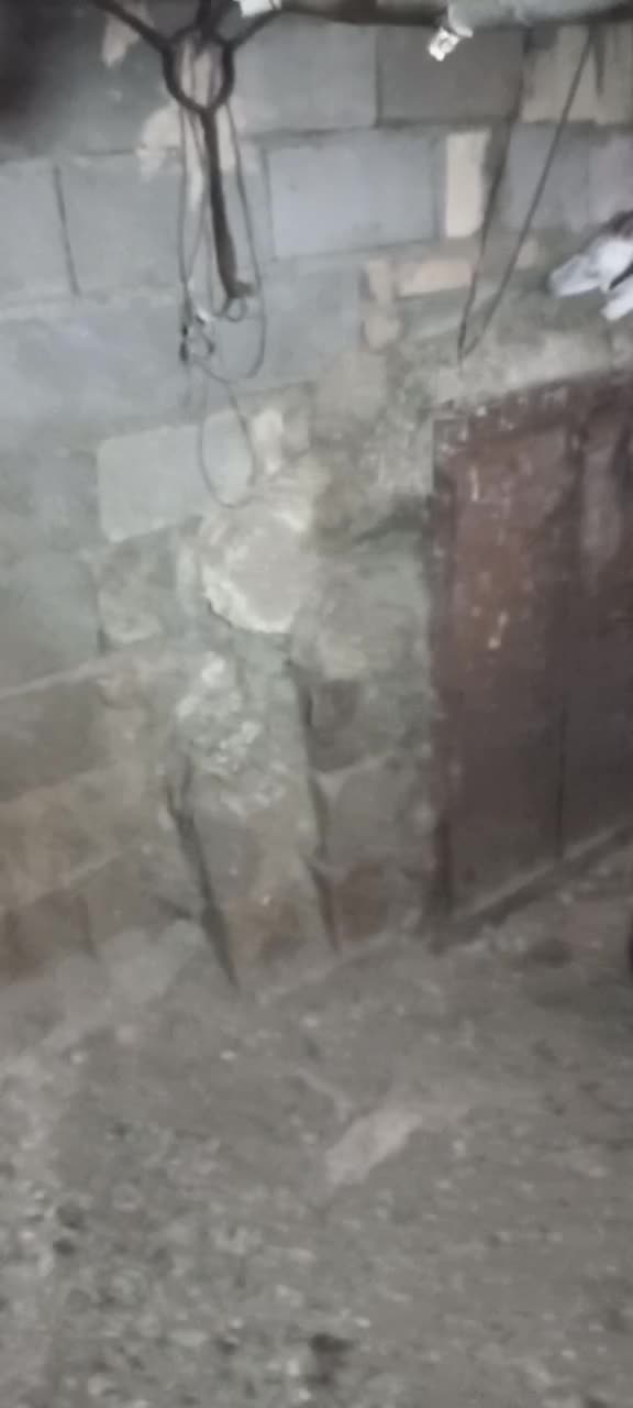 یه عدد کبوتر ۴ ساعت|پرنده|نورآباد, |دیوار