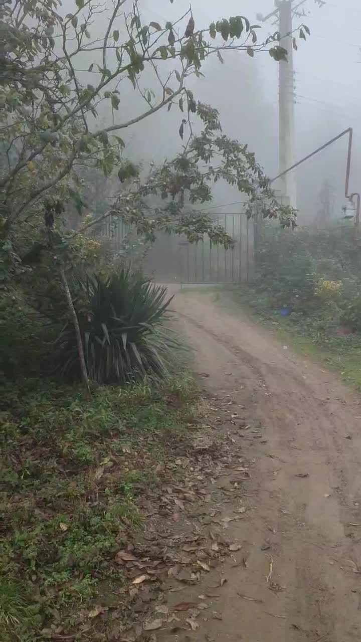 زمین فروشی در تالش، خطبهسرا (شوکیز مشایخ)|فروش زمین و ملک کلنگی|لیسار, |دیوار