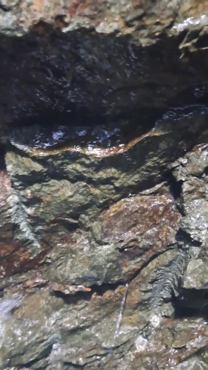 چاه|خدمات پیشه و مهارت|سنندج, |دیوار