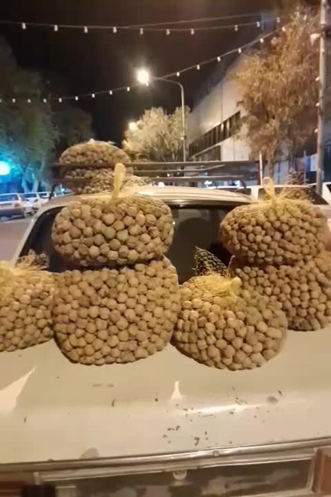 گردوخانسار|عمده‌فروشی|سنندج, |دیوار