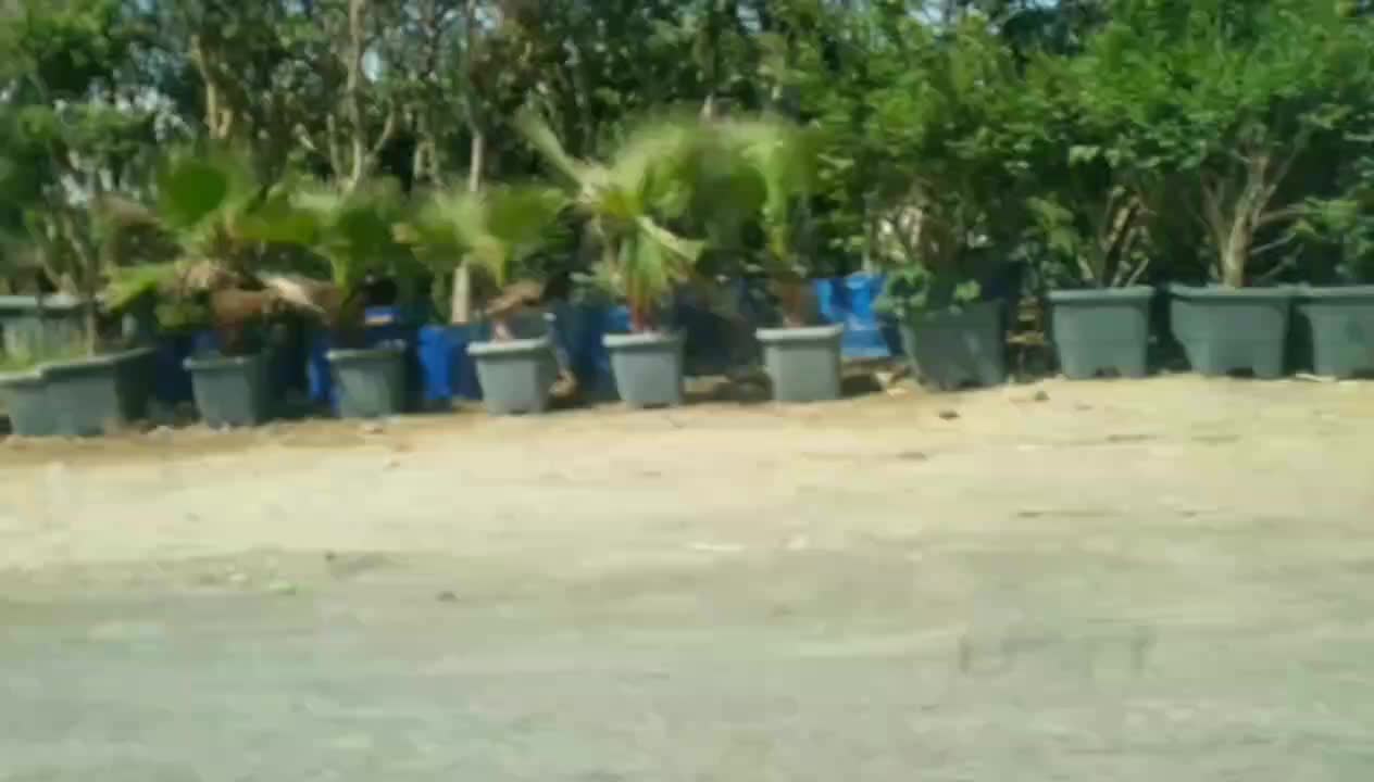 زمین تجاری 500 متری بر اتوبان فیروزآباد شهرری|فروش دفتر صنعتی، کشاورزی، تجاری|ری, شهرک نظامی|دیوار