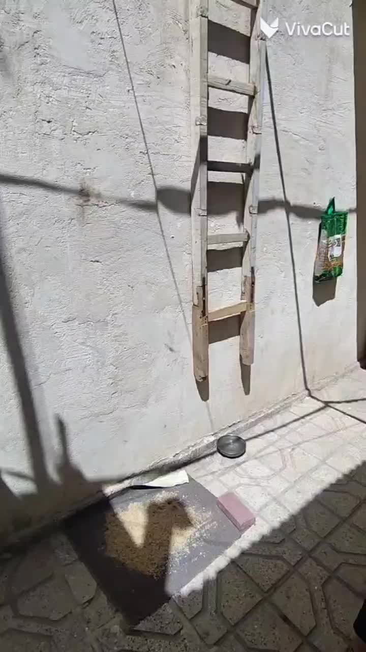 طبرسی شمالی۳۸طباطبایی۳۱ویلایی۷۵متری شیک  دربست|اجارهٔ خانه و ویلا|مشهد, طبرسی شمالی|دیوار
