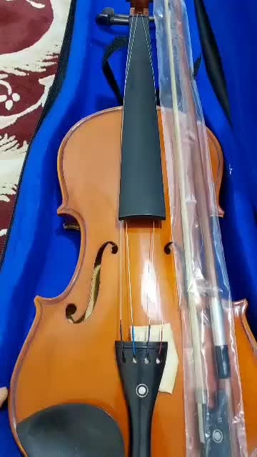 فروش ویولن کاملاً نو|ویولن|سیرجان, |دیوار