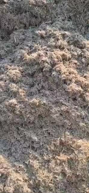 تفاله نیشکر چین امسال|لوازم جانبی حیوانات|اهواز, فولاد|دیوار