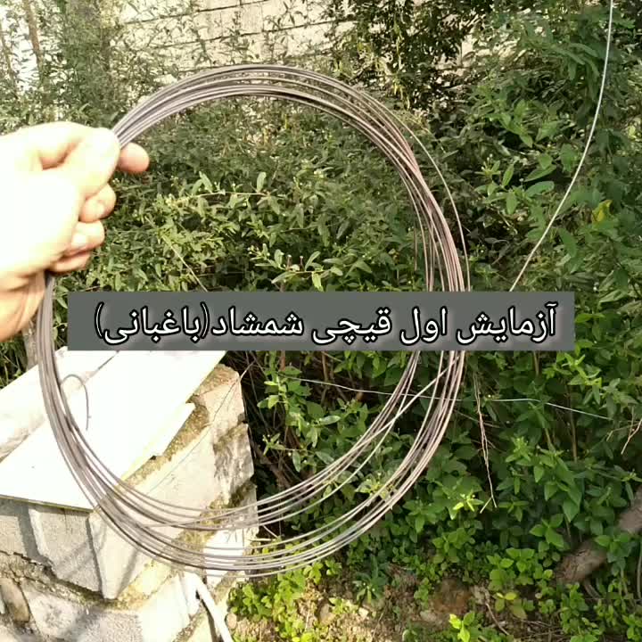 قیچی شمشاد زن(گل و گیاه)|خدمات باغبانی و درختکاری|کلاچای, |دیوار