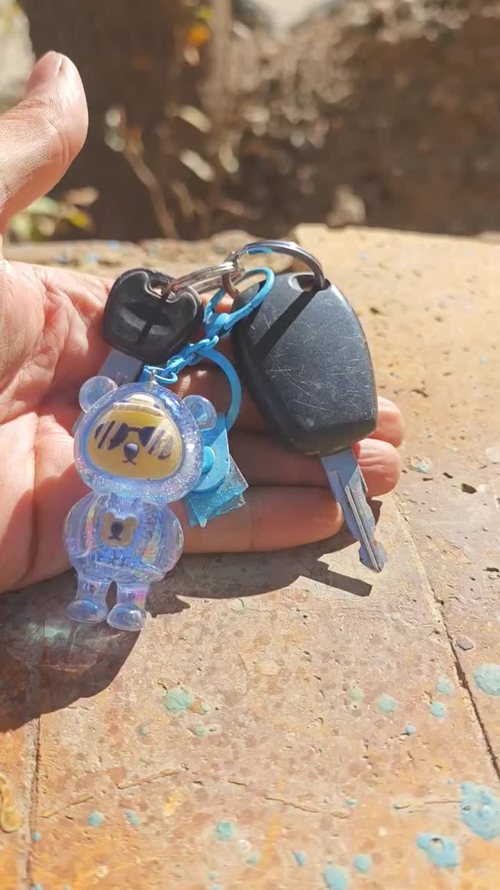 کلید یا سوئیچ گمشده  پیدا شده جاده چالوس  تونل ۳|اشیا|آسارا, |دیوار