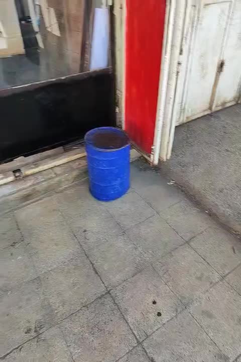 دو‌عدد‌ دو‌چرخه‌24و26|دوچرخه، اسکیت، اسکوتر|حمیدیه, |دیوار