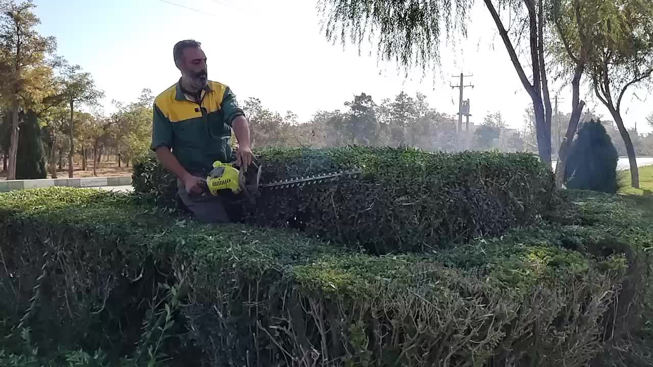 خدمات|خدمات باغبانی و درختکاری|اراک, |دیوار