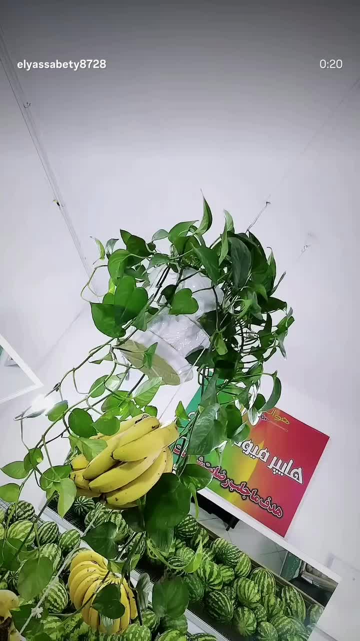 واگزاری مغازه میوه فروشی|اجارهٔ مغازه و غرفه|مشهد, رده|دیوار