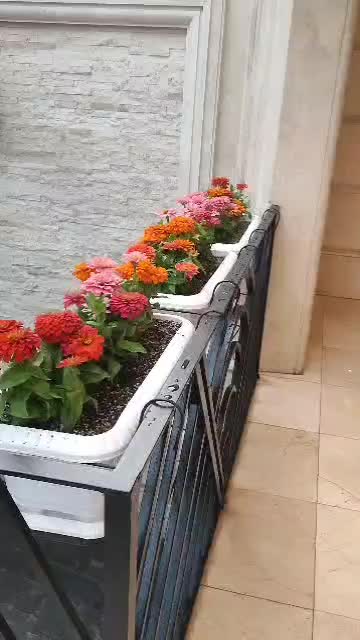 خدمات باغبانی باغچه کاری گلکاری تعویض خاک گلدون|خدمات باغبانی و درختکاری|تهران, میرداماد|دیوار
