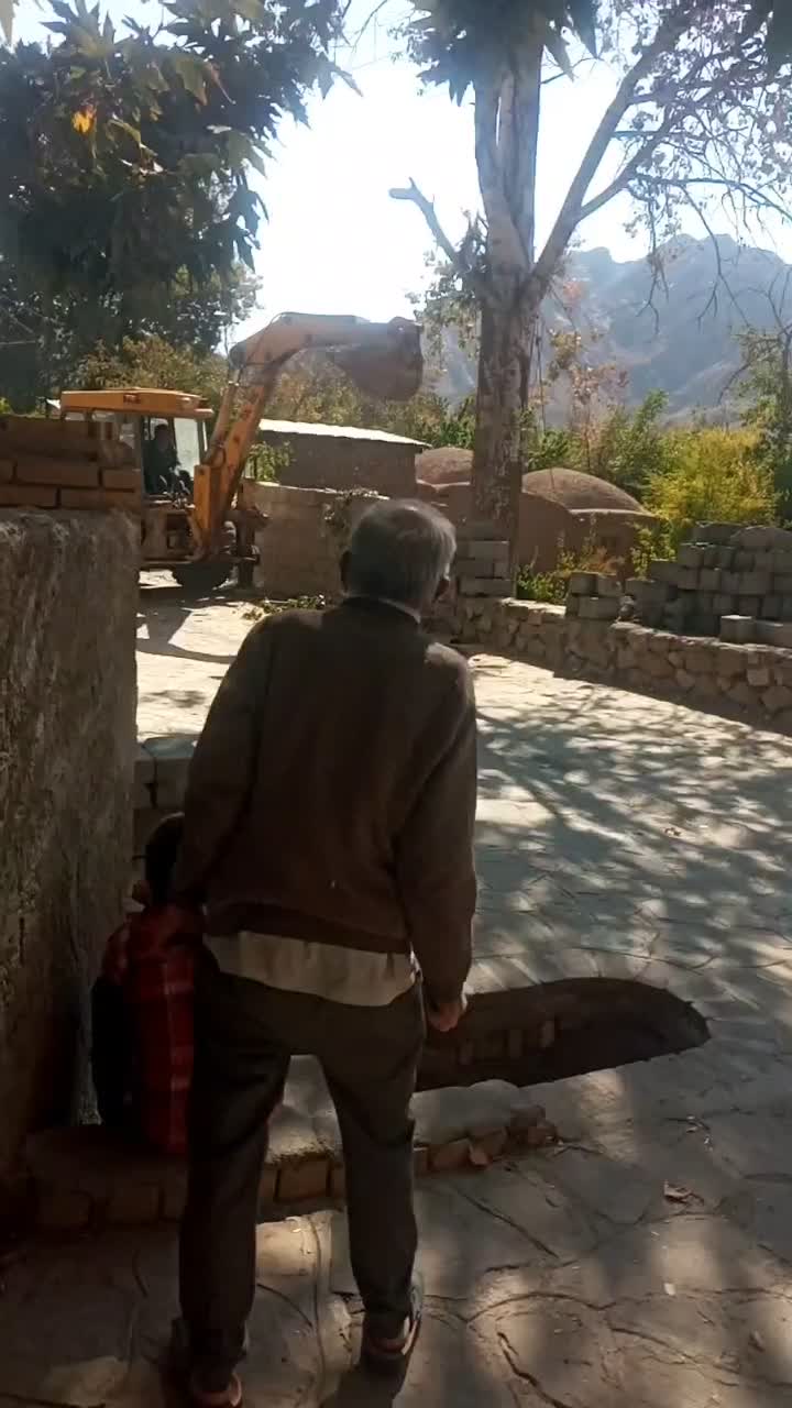 خرید چوب وبرش زدن درخت‌های مزاحم پیر|خدمات باغبانی و درختکاری|رفسنجان, |دیوار