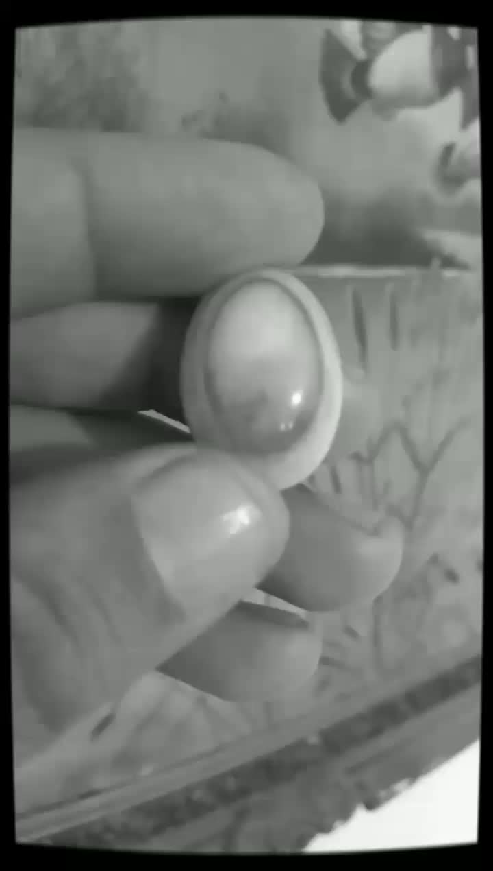 سنگ سلیمانی سه پوسته|جواهرات|بوشهر, |دیوار