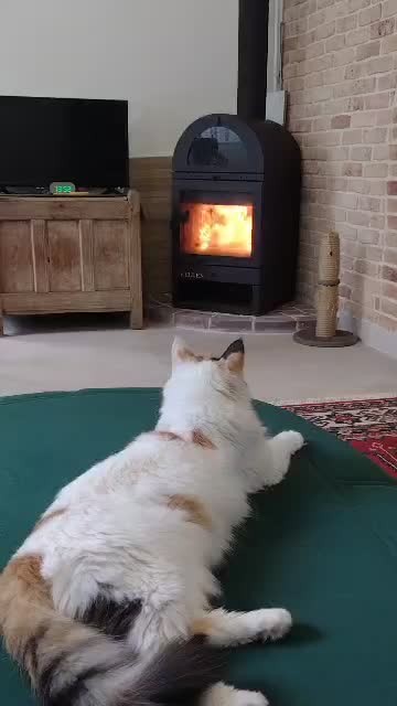 بخاری هیزمی بهینه سوز کِلِن مدل کاریان|بخاری، هیتر، شومینه|تهران, سیروس|دیوار