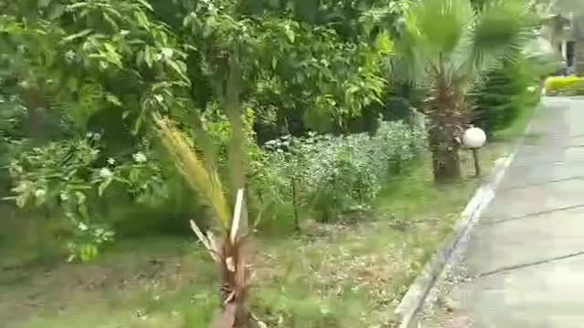 فروش ویلایی دوبلکس خاص جاده رامسر|فروش خانه و ویلا|تهران, الهیه|دیوار