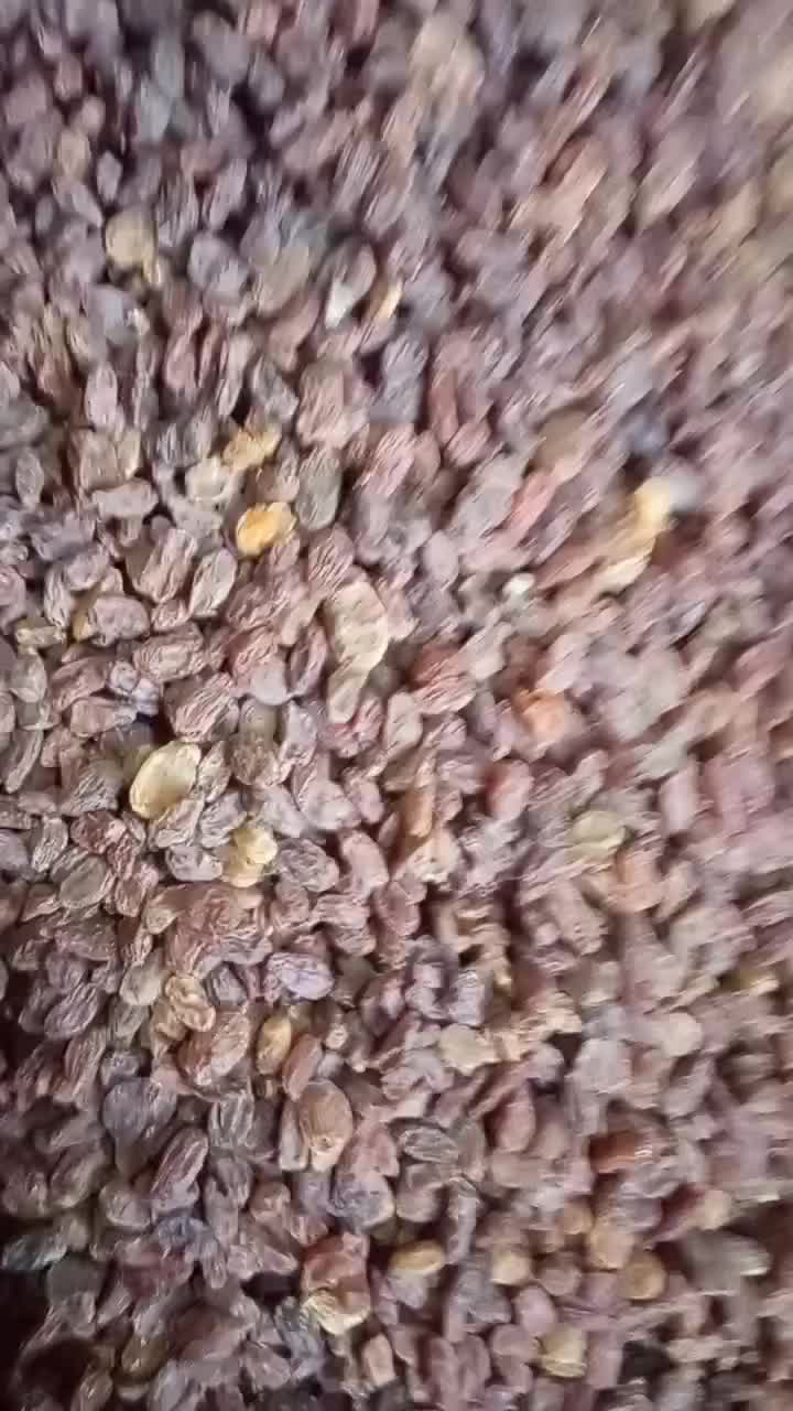 کشمش آفتابی اصل بوانات|خوردنی و آشامیدنی|شیراز, کوشک میدان|دیوار