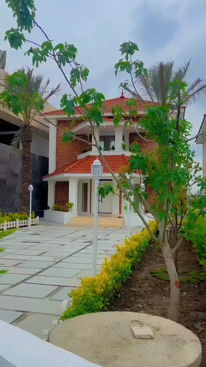 ریشه پرس اصل نخل تضمینی پالم مقاوم فنیکس|خدمات باغبانی و درختکاری|بیرجند, |دیوار