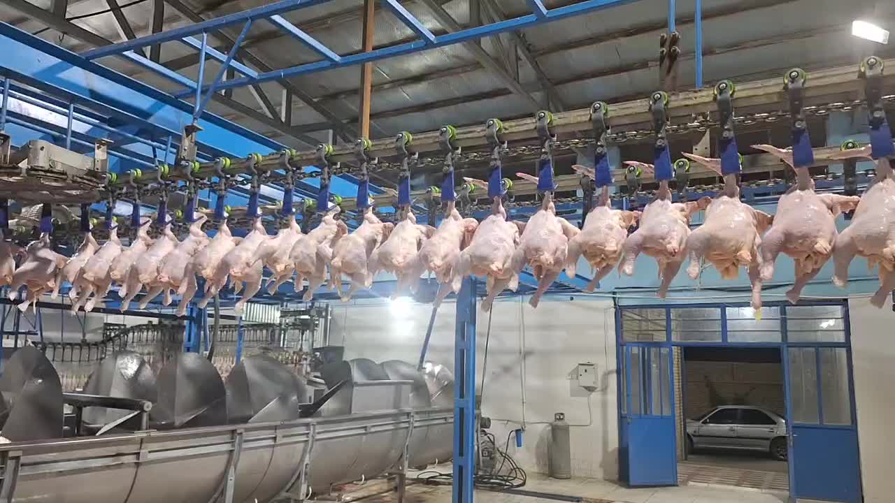 استخدام دامپزشک|استخدام صنعتی، فنی، مهندسی|ایذه, |دیوار