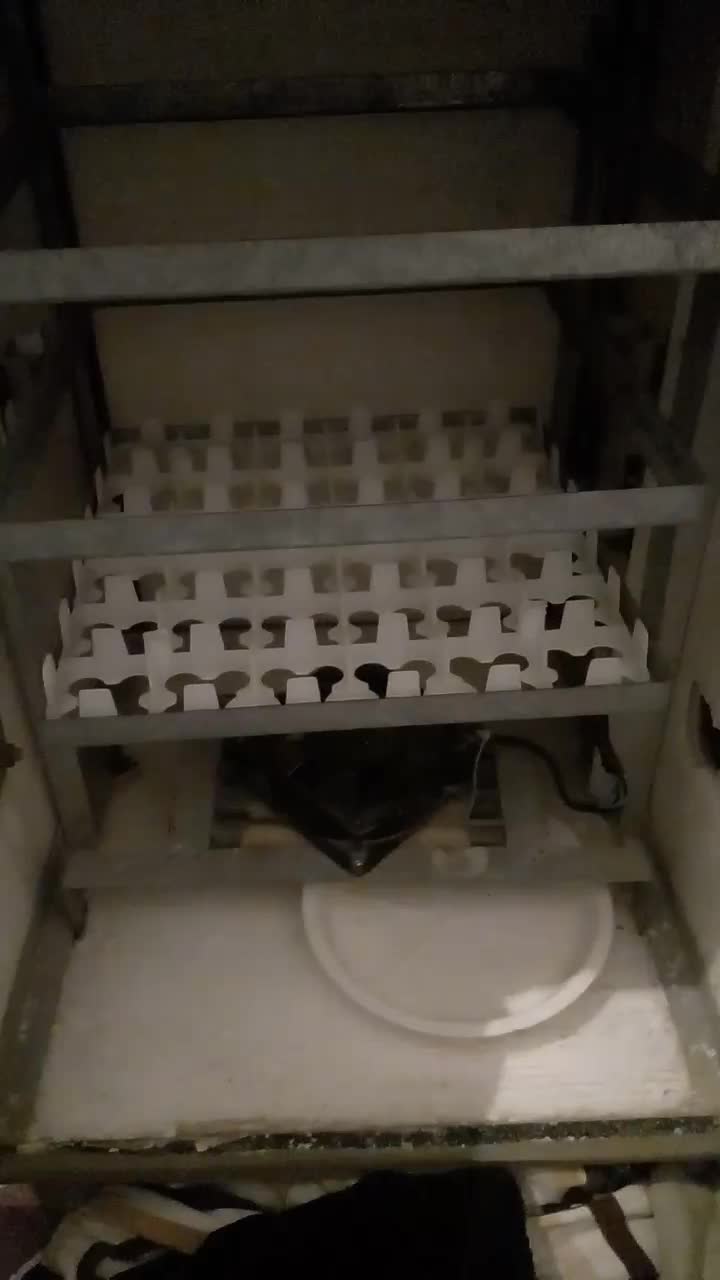 دستگاه جوجه کشی|لوازم جانبی حیوانات|فردوس (خراسان), |دیوار