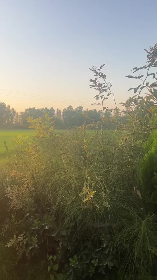 اجاره موقت ویلای  بسیار تمیز فول با پارکینگ|اجارهٔ کوتاه‌مدت ویلا و باغ|رشت, توشیبا|دیوار
