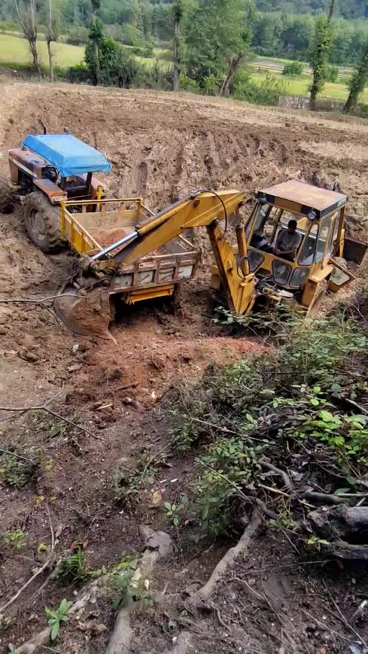 تراکتور فرگوسن  جفت مدل 82|خودرو سنگین|گلوگاه بابل (گلیا), |دیوار