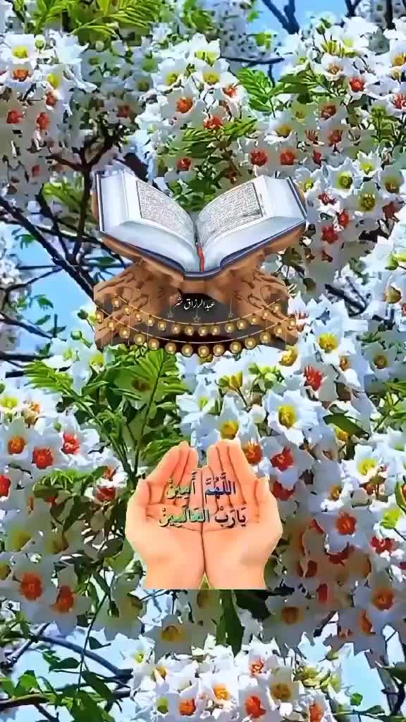 اگهی|خودرو سواری و وانت|کرمان, |دیوار